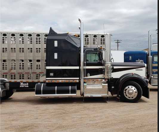 KW139 - Kenworth Conventional Decal Stripes