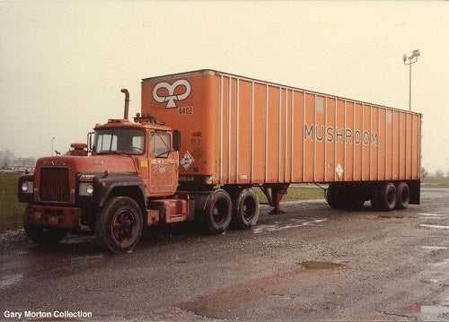 Mushroom Transportation Model Decals