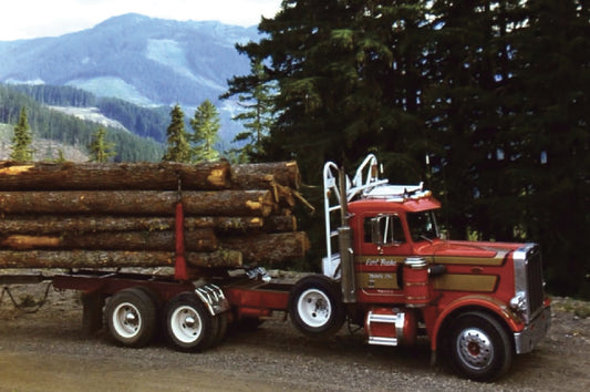 PB151 - Peterbilt Conventional Decal Stripes